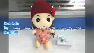 Boîte à son enregistrable pour jouets en peluche